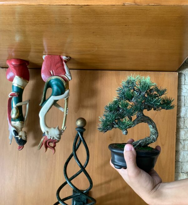 Bonsai Artificial size S